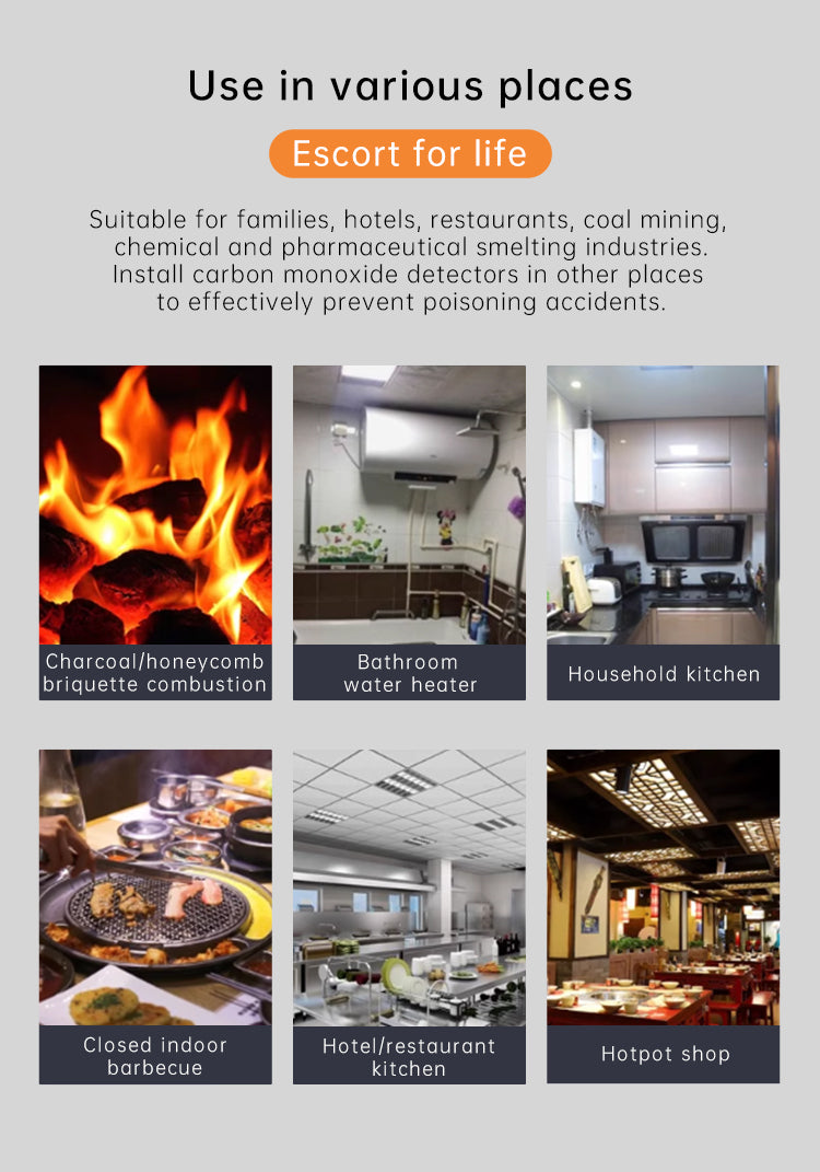 Protmex Portable Carbon Monoxide Detector, 168H Standby, Rechargeable 3-in-1 CO Detector with Audible & Visual Alerts for Travel & Camping, CO Meter for Home, Car & Tent