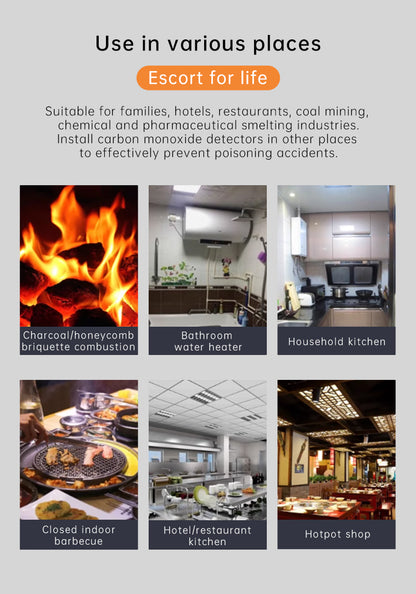 Protmex Portable Carbon Monoxide Detector, 168H Standby, Rechargeable 3-in-1 CO Detector with Audible & Visual Alerts for Travel & Camping, CO Meter for Home, Car & Tent